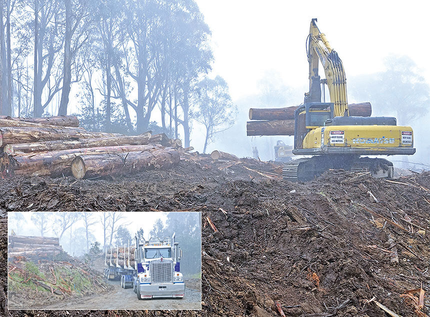 Timber industry to close early