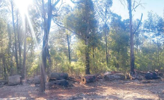 Increased fire risk in East Gippsland